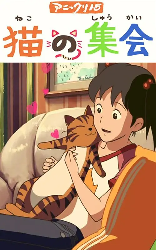 今年的奥斯卡涌现了不少优秀电影，《聚焦》、《还魂者》、《疯狂的麦克斯4》等不同题材的作品汇聚一堂。