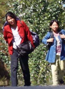 甜茶全副武装等待检疫的模样甚是乖巧 上一页12345.